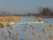 Zugefroren: Der Usedomer See am ersten Februar.