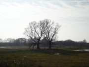 Wiesenland an der Rieck: Schmalste Stelle der Insel Usedom.