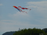 Munter im Wind: Drachen vor dem Hintergrund des Streckelsbergs.