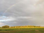 Regenbogen: Der "Bauernwald" bei Stubbenfelde.