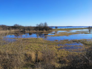 Überflutet: Möwenort auf der Usedomer Halbinsel Gnitz.