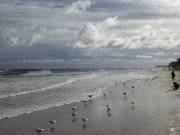 Vor dem verstrkten Deich: Ostseewellen auf dem Strand.