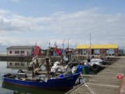 Fischerhafen in Kamminke: Haffland der Insel Usedom.