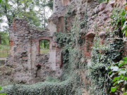 Verwunschene Ruinen: Efeu berwuchert die alte Burgruine.