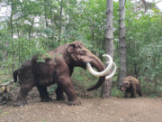 Possierlich: Mammutmutter mit ihrem Kalb im "Eiszeitpark".