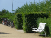 Fahrradurlaub auf Usedom: An der Strandpromenade von Bansin.