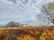 Herbstfarben: Historische Seebrcke des Usedomer Ostseebades Ahlbeck.