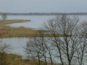 Blick über das Achterwasser: Usedomer Hinterland nahe Balm.