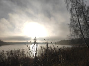 Karge Silhouetten: Blick über den winterlichen Kölpinsee.