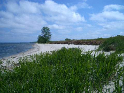 Naturschutzgebiet: Die malerische Halbinsel Struck ragt in den Greifswalder Bodden.