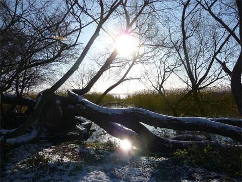 Winterurlaub zwischen den Ksten: Das Achterwasser an der Usedomer Halbinsel Gnitz.