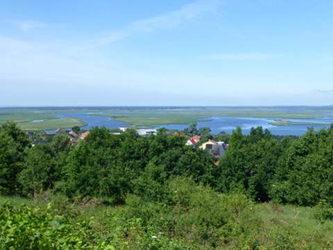 Paradies fr Seevgel: Swinedelta an der Insel Wollin.