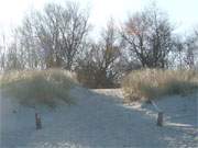 Strandzugang bei Koserow: Die tiefstehende Wintersonne wirft lange Schatten auf den Ostseestrand.