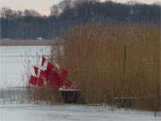 Bernsteinbad Loddin: Die Melle am Loddiner Hft ist ein beliebter Liegeplatz fr Fischerboote.