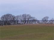 Loddiner Hft und Blick auf's Achterwasser: Winterurlaub auf der Insel Usedom.