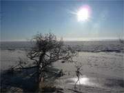 Eisige Weite: Das Stettiner Haff bei Kamminke — Winterimpressionen von der Insel Usedom.