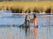 Usedomer Winterbild: Fischer bringen auf der Melle bei Loddin ihren Fang ein.