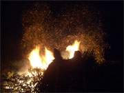 Lagerfeuer am Loddiner Achterwasserhafen: Entbehrlich gewordene Weihnachtsbäume werden "thermisch verwertet".