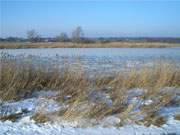 Blick nach Zempin: Die Rieck, ein Achterwasserarm zwischen den Bernsteinbdern Zempin und Koserow, ist gut durchgefroren.