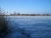 Blaues Eis zu ockerfarbenem Schilf: Farblich reizvolle Impressionen eines Winterurlaubs auf Usedom.
