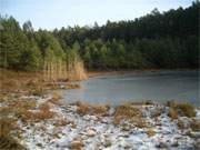 Winterimpressionen von der Insel Usedom: Der Mmmelkensee nahe der Ostseekste.