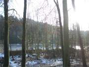 Zwischen ckeritz und Bansin: Der Mmmelkensee auf der Ostseeinsel Usedom.