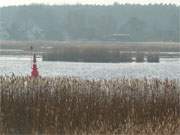 Der Peenestrom an der Insel Usedom: Eine Tonne markiert die Fahrrinne.