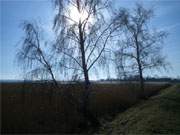 Idyll am Achterwasser: Von Grssow nach Warthe fhrt ein schner Deichwanderweg.