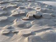 Usedomer Strandsand: Frost, Sonnenwärme und Wind haben diese eigentümlichen Zapfen erzeugt.