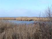 Winterimpressionen auf der Insel Usedom: Das Achterwasser bei Loddin.