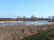 Zwischen Zempin und Koserow: Blick in die Rieck nach Ltten Ort.