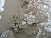 Ostseestrand der Insel Usedom: Bizarre Strukturen entstehen, wenn der gefrorene Strandsand taut.