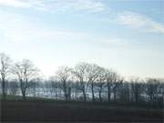 Gothensee: Blick vom Aussichtsturm auf dem "Sieben-Seen-Berg" bei Neu-Sallenthin auf Usedom.