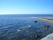 Weit vor Rgen und Usedom: Ostsee-Idyll am Nothafen der Greifswalder Oie.