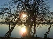 Romantisches Usedom: Abendsonne über dem Nepperminer See.
