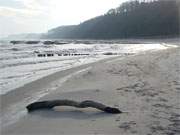 Ostseestrand zwischen Koserow und Klpinsee: Immer noch winterliche Stimmung am Meer.