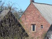 Frhling auf Usedom: In Stoben am Schmollensee zeigt sich ein Hauch von erstem Grn.