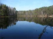 Zwischen Wolgastsee und Zerninmoor: Der Waldsee "Schwarzes Herz" im Hinterland der Usedomer Kaiserbder.