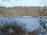 Zwischen dem Kaiserbad Ahlbeck und dem Wolgastsee erhebt sich der Usedomer Zirowberg.