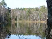 Idyll im Wald: Usedomer Binnensee "Schwarzes Herz" am Wolgastsee.