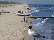 Usedomer Ostseestrand zwischen den Bernsteinbdern Koserow und Zempin.