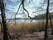 Usedomer Uferlandschaft am Kleinen Krebssee bei Neu-Sallenthin.