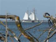 Schifffahrt auf Usedom: Segelschiff "Weie Dne" auf dem Achterwasser.