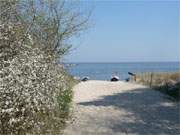 Strandzugang von Stubbenfelde, einem Ortsteil des Bernsteinbades Loddin.