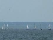 Wassersport auf dem Achterwasser: Segelboote zwischen der Halbinsel Gnitz und der Lassaner Bucht.