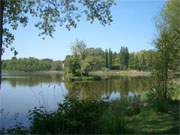 Eine der schnsten Landschaften Usedoms: Die Schwaneninsel im Klpinsee des Bernsteinbades Loddin.