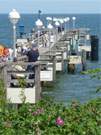 Bernsteinbad Koserow im Frhjahr: Die Seebrcke des Usedomer Ostseebades.