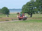 Wiesenland am Achterwasser: Landschaft des Bernsteinbades Loddin.