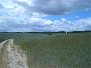 In Richtung Krummin schliet sich an Bannemin eine schne Wiesen- und Felderlandschaft an.