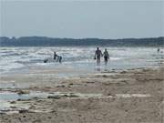 Ostseebad Karlshagen auf Usedom: Der breite Ostseestrand nach Trassenheide.